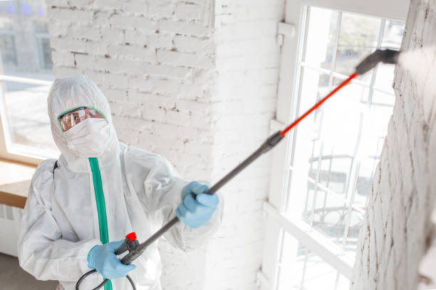 Mold Documentation for Insurance Claims in Friendswood, TX
