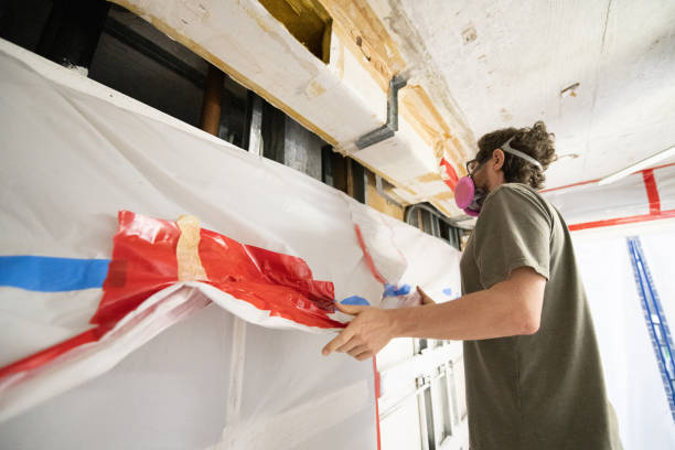 Best Basement Mold Removal  in Friendswood, TX